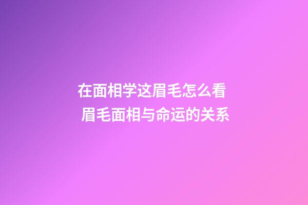 在面相学这眉毛怎么看  眉毛面相与命运的关系